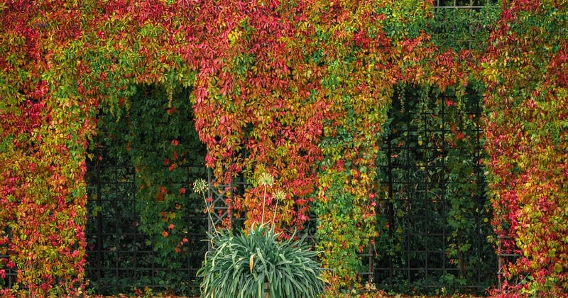 Terrasse, abri de jardin, pergola : ce qui dure face aux intempéries