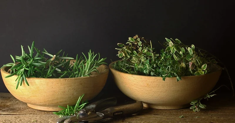 Moderniser une cuisine rustique : le tableau comparatif des approches