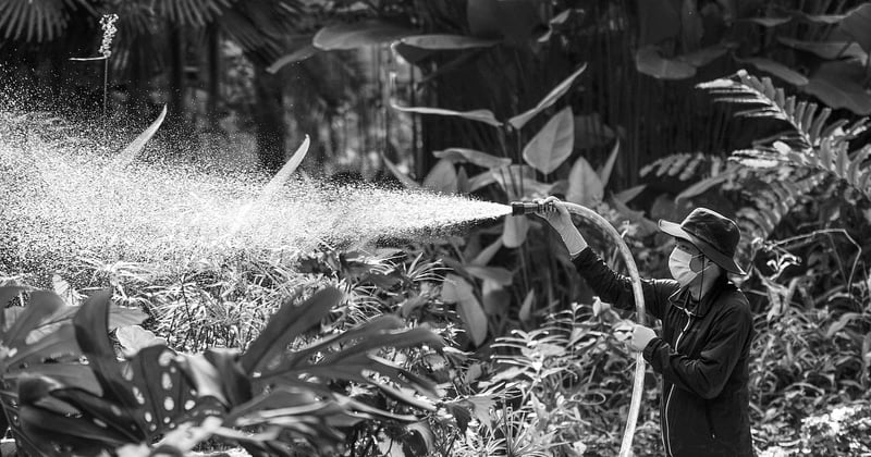 Récupérer l'eau de pluie au jardin : volumes, pose et entretien